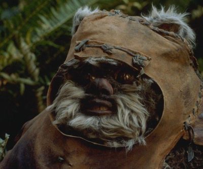 Ewok Costume