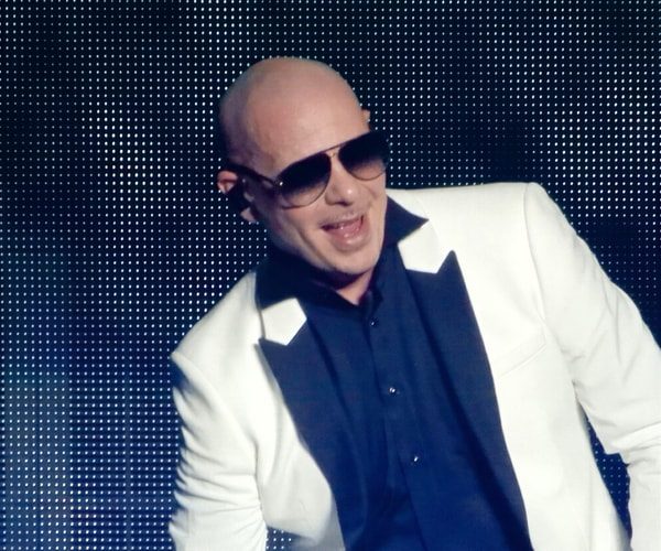 Pitbull Costume