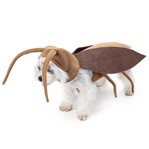 Cockroach Costume