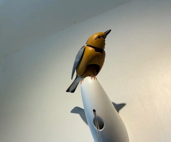 Molly the Bird (Kelly Clarkson Meme) Costume
