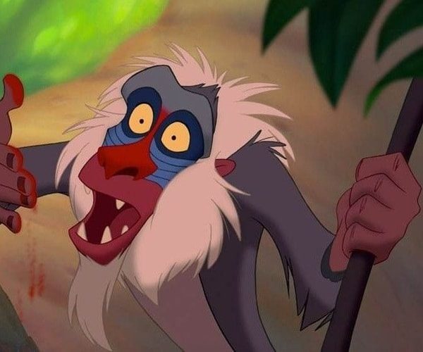 Rafiki Costume