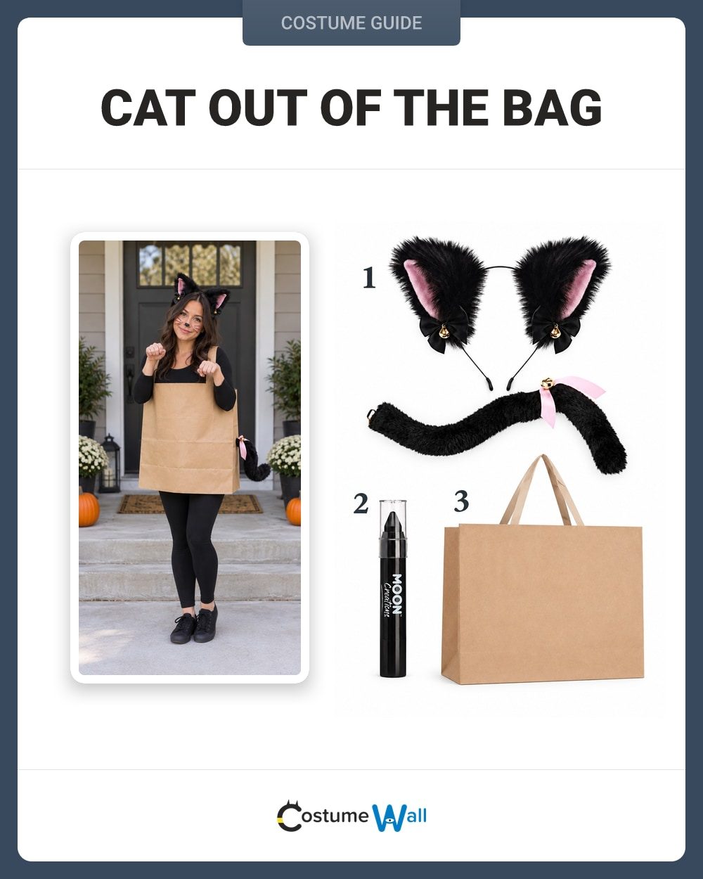 Cat Out of the Bag costume guide