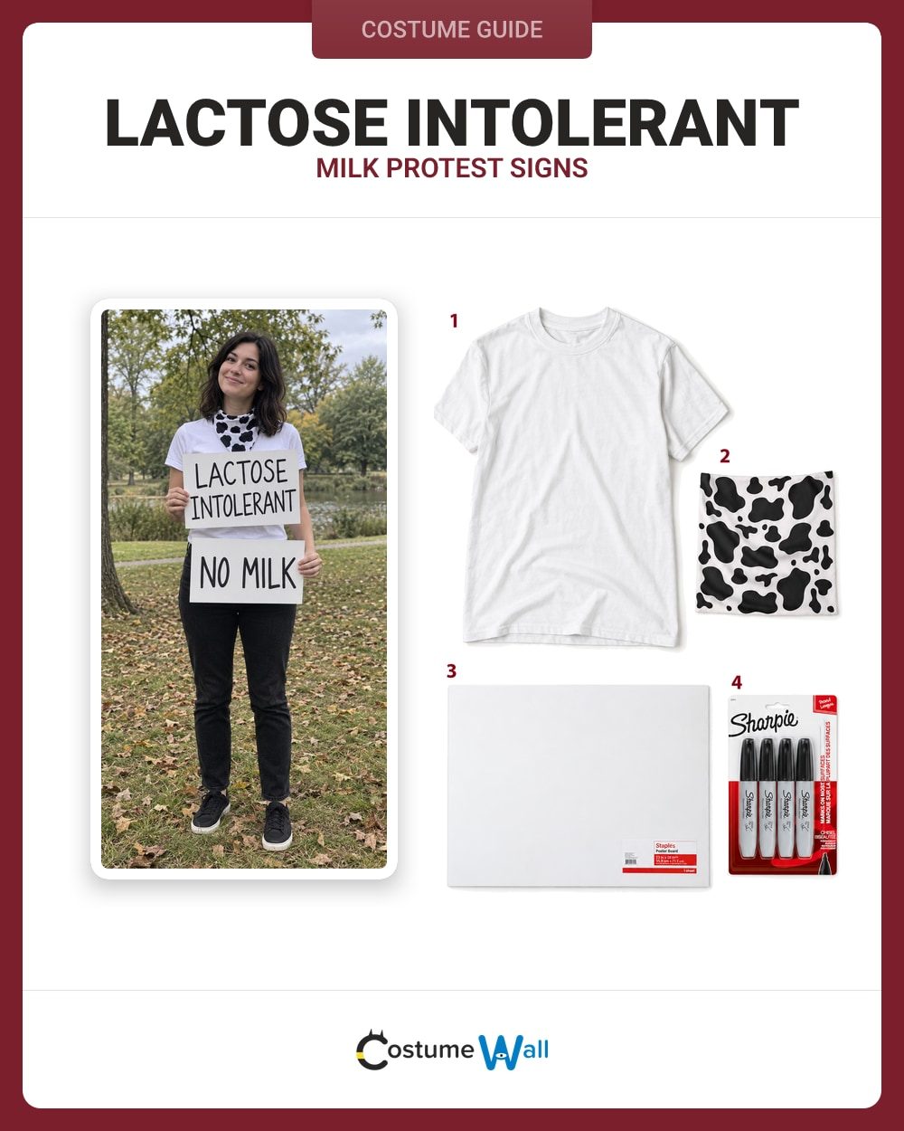 Lactose Intolerant costume guide