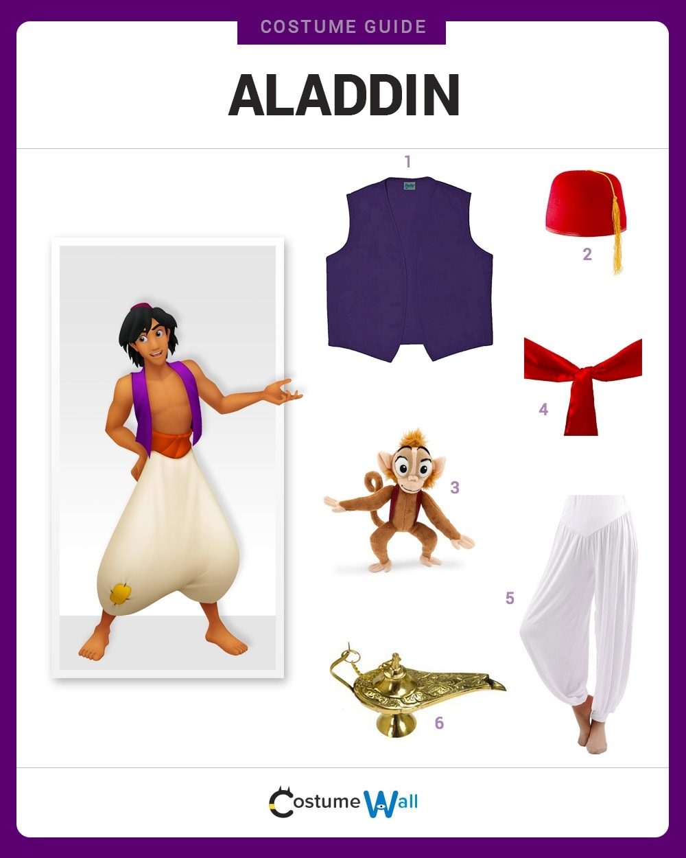 Aladdin Costume
