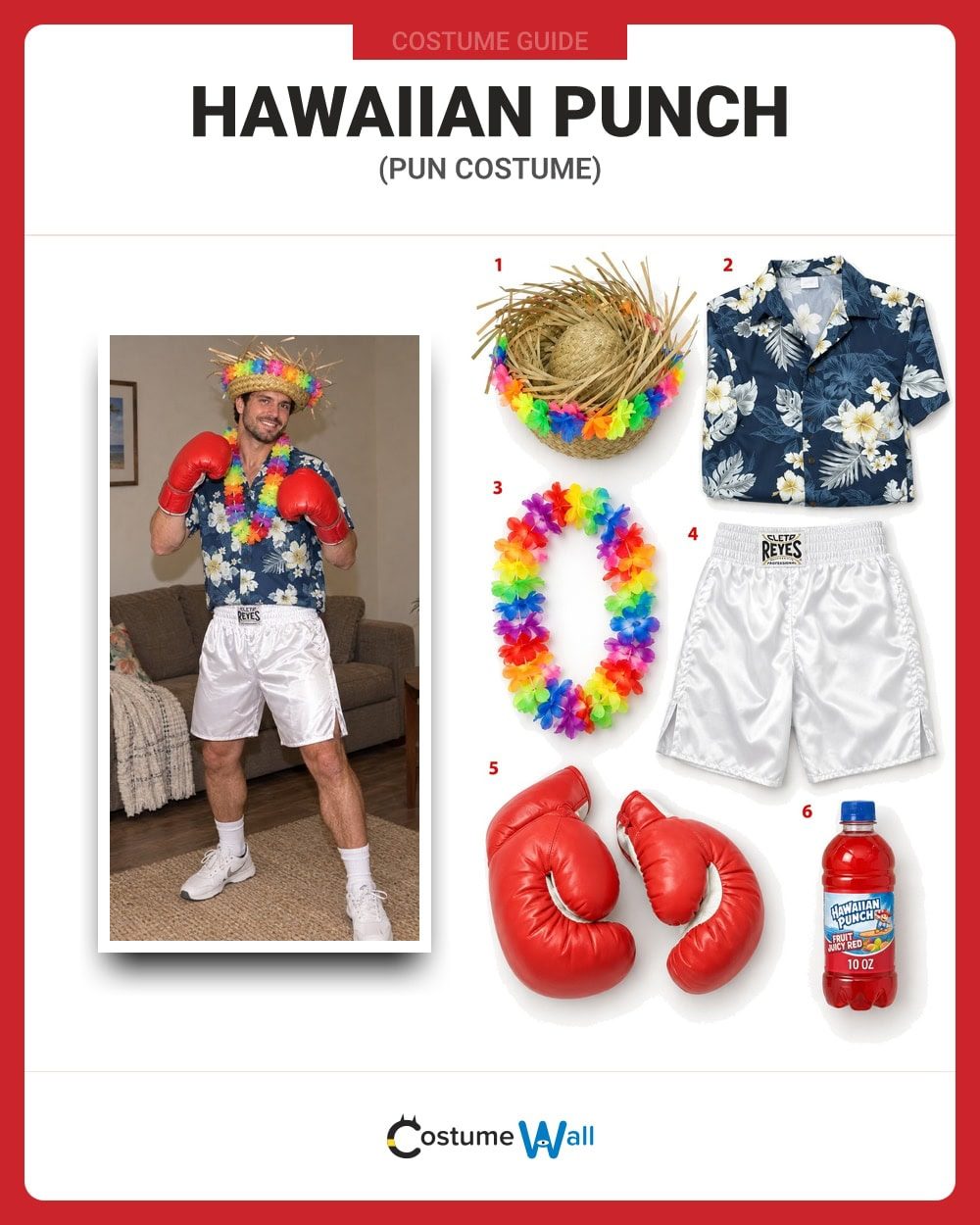 Hawaiian Punch costume guide