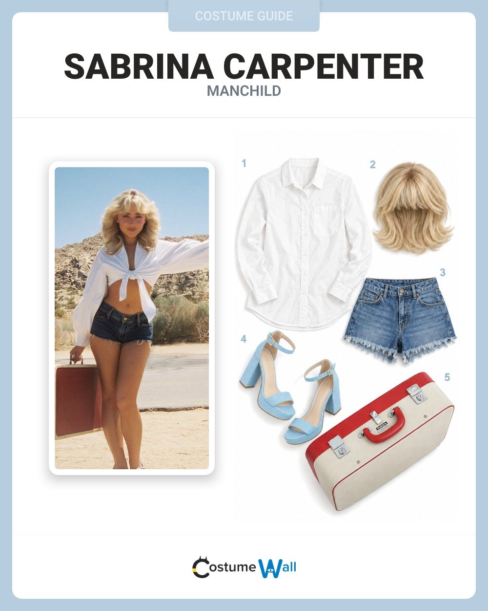 Capenter Clothes Sabrina Carpenter (Manchild) Costume Guide | Costume Wall